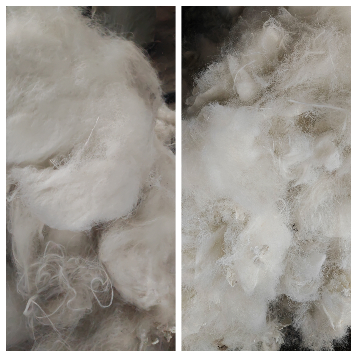 化纖廢塊剪切效果