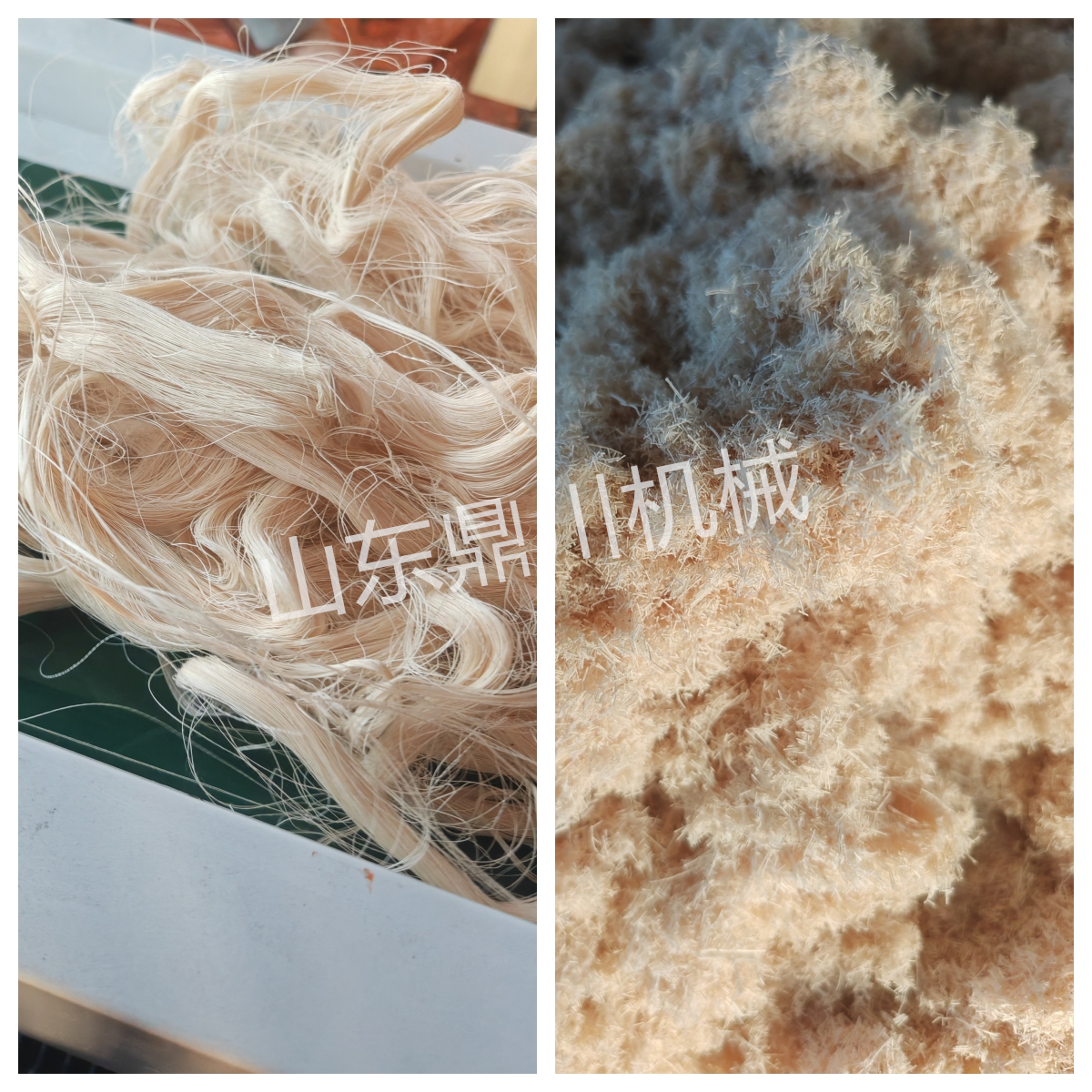 棉纖維廢絲粉碎效果