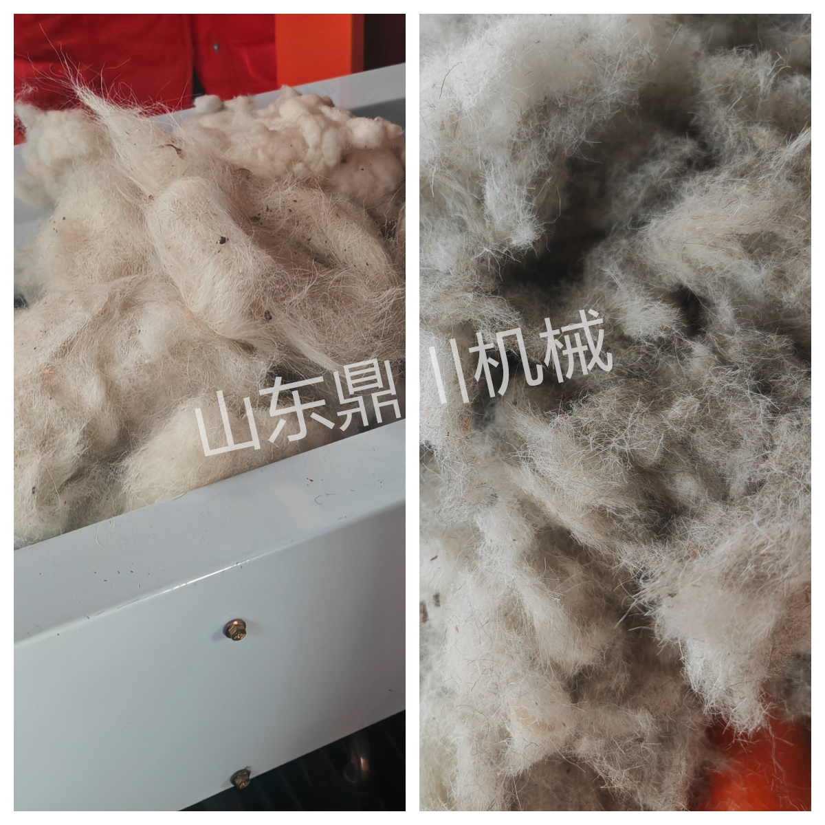 粗疏羊毛切斷效果