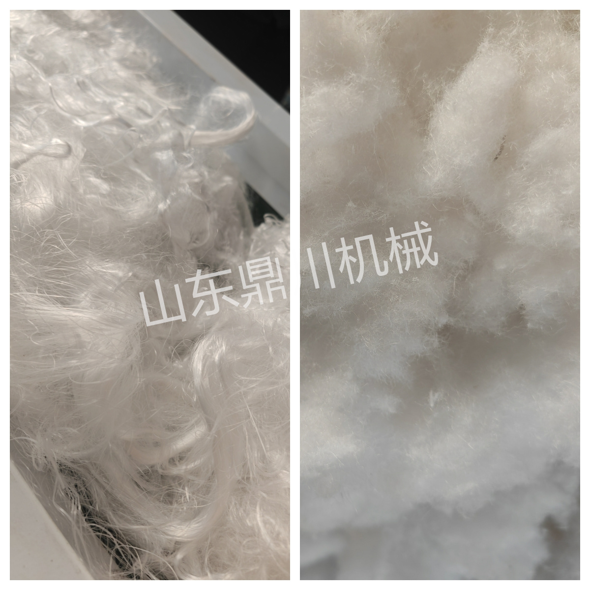 化纖廢絲切碎效果